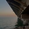 m22alshatti