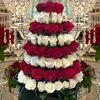 m.ali.haider37