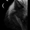 moonempress882