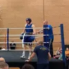 lmboxing