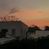 shemjas