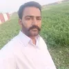 fasi441