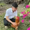 hoangemblue