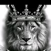.shaer.1