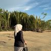ar.aynaa