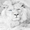 joseleon882