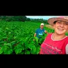 Evinha tainan casal da roça