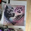 bigstanandluna123