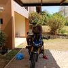 ble_z800