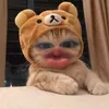 dngiddks_15