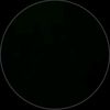 foreverestay_blink