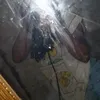ttatiane.op