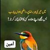 mehmood00188