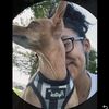 crackheadgabs
