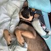 zephyrthepup