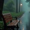 fern_fern_27