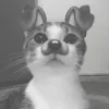 luv_owo1