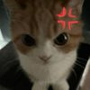clowdi_