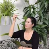nguyenkimngan221