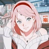 sakura.haruno244