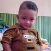 zihan816