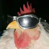 burnbird1