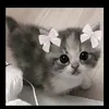 bel_405