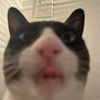 dez_1121