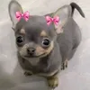 estefani_siqueira