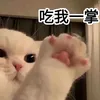 yangzy_1