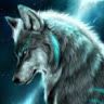 shadowdesting12