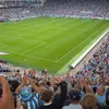 ccfc.archie0