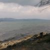 karabulut0808