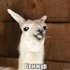 fun_pubg2