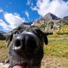 colorado_dreamn