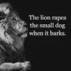 aslan295224