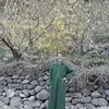 user065771001