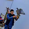 mahmadtaleb23