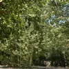 nawzadblbas12