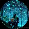 gil_bert5