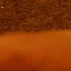 andersongregorio16