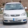 amirch246