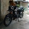verza_.standar