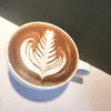 vermuth.com