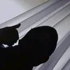 they.wii