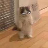 3picspooderman