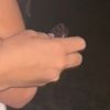 bouncinganimation