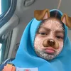 .fieyaaa