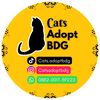 Cats Adopt Bandung