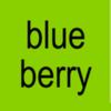 blueeberry999